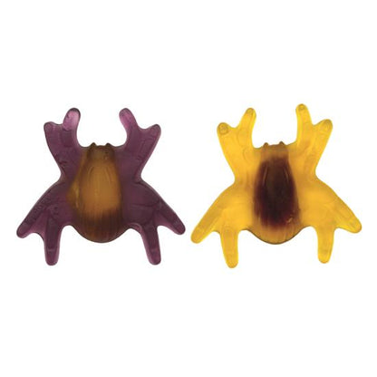 Araignées XL